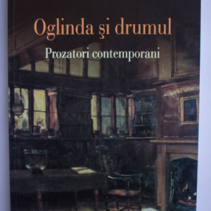 Irina Petras - Oglinda si drumul. Prozatori contemporani