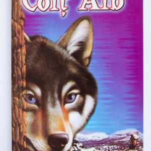 Jack London - Colt Alb