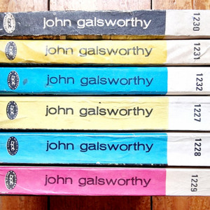 John Galsworthy - Forsyte Saga. Comedia moderna (6 vol.)