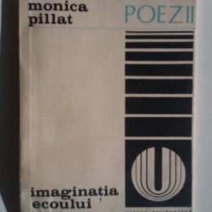 Monica Pillat - Imaginatia ecoului