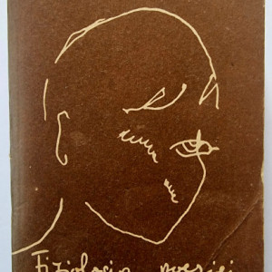 Nichita Stanescu - Fiziologia poeziei