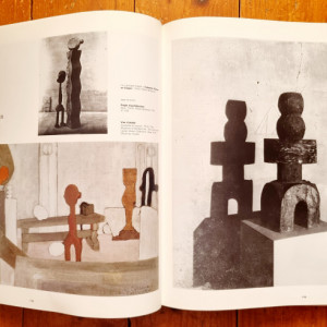 Pontus Hulten, Natalia Dumitresco, Alexandre Istrati - Constantin Brancusi (editie hardcover)