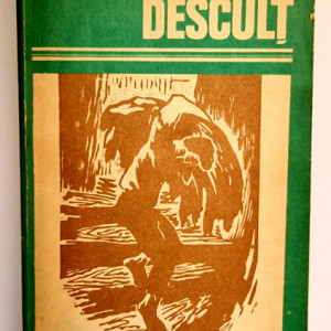 Zaharia Stancu - Descult