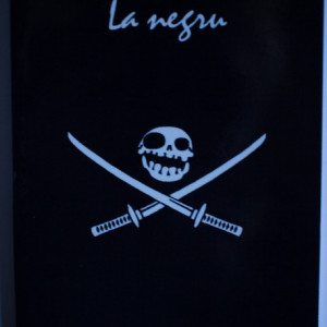 Colectiv autori - La Negru (Antologia taberei de creatie a tinerilor scriitori, Savarsin, 2015)