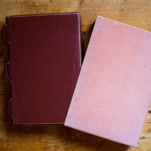 Colectiv autori - Tragicii greci (antologie) (editie hardcover, relegata in piele)