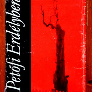 David Gyula, Miko Imre - Petofi Erdelyben (editie hardcover)