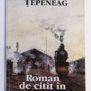 Dumitru Tepeneag - Roman de citit in tren