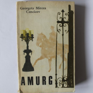 Georgeta Mircea Cancicov - Amurg