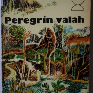 Gheorghe Tomozei - Peregrin valah