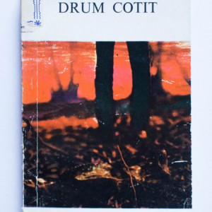 Heimito von Doderer - Drum cotit