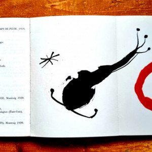 Jean Cassou, pref. - Joan Miro (catalogue d`exposition, Musee National d`Art Moderne Paris, Juin - Novembre 1962)