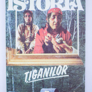 Lucian Cherata - Originea tiganilor. Origine, specific, limba