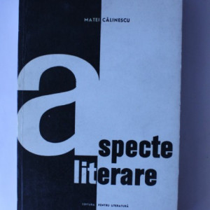 Matei Calinescu - Aspecte literare