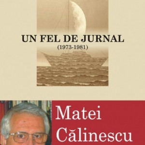 Matei Calinescu - Un fel de jurnal (1973-1981)
