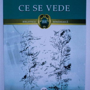 Radu Petrescu - Ce se vede
