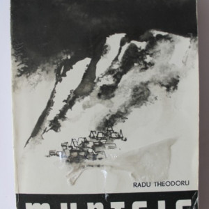Radu Theodoru - Muntele