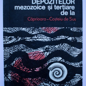 A. Dusa - Stratigrafia depozitelor mezozoice si tertiare de la Caprioara-Costeiu de Sus