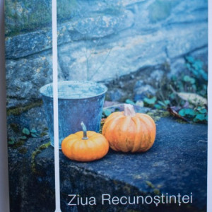 A. M. Homes - Ziua Recunostintei