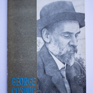 Gavril Scridon - George Cosbuc si pamantul natal