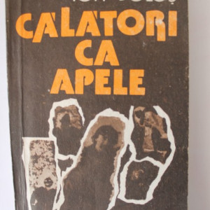 Ion Bolos - Calatori ca apele
