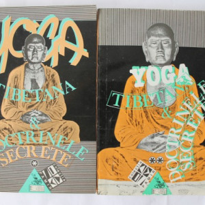 Lama Kasi Dawa Samdup - Yoga tibetana si doctrinele secrete (2 vol.)