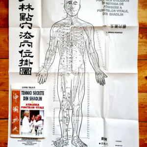 Liviu Tilica - Tehnici secrete din Shaolin. Atingerea punctelor vitale
