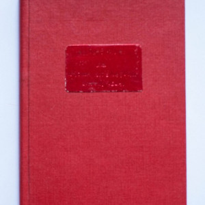 Nicolae Iorga - Pagini de critica din tinerete (editie hardcover, interbelica, frumos relegata)