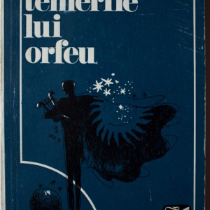 Radu Carneci - Temerile lui Orfeu