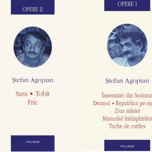 Stefan Agopian - Opere I-II. Insemnari din Sodoma. Drumul. Republica pe esafod. Ziua maniei. Manualul intamplarilor. Tache de catifea. Sara. Tobit. Fric (2 vol, editie hardcover)