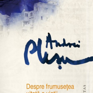 Andrei Plesu - Despre frumusetea uitata a vietii