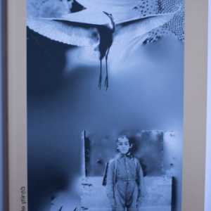 Dumitru Cerna - Dumicatul de pelin. Poeme dobrogene / Une bouchee d`absinthe. Poemes Dobroudjois (editie bilingva, romano-franceza)
