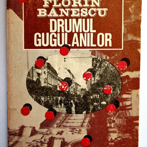 Florin Banescu - Drumul Gugulanilor (Strada)
