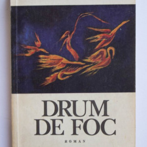 Henriette Yvonne Stahl - Drum de foc