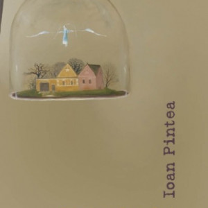 Ioan Pintea - Casa teslarului (contine CD)