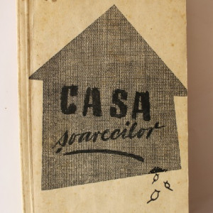 Ion Calugaru - Casa soarecilor