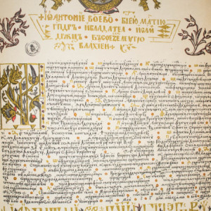 Ionel Gal (coord.), Maria Soveja, Ioana Burlacu, Ioan Opris - Marturii ale trecutului. Album de documente (editie hardcover, trilingva, romano-engleza-franceza)