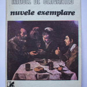 Miguel de Cervantes - Nuvele exemplare (editie hardcover)