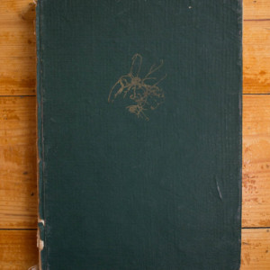 P. Raicu, M. Nachtigal - Citogenetica. Principii si metode (editie hardcover)
