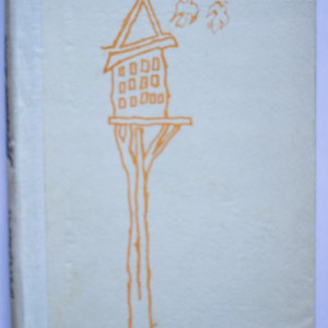 Petre Salcudeanu - Strada lux (editie hardcover)