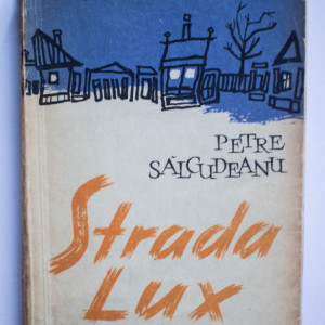 Petre Salcudeanu - Strada lux