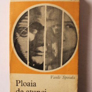 Vasile Spoiala - Ploaia de atunci