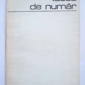 Virgil Stancovici - Ideea de numar