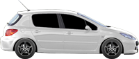 307 ( 2000 > )