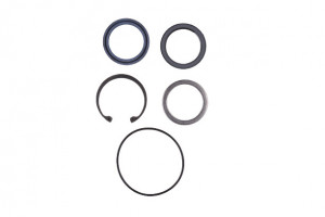 Kit Reparatie Levier Comanda Saginaw, Dual Piston, 8268 19016854 AS13599