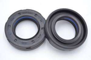 Simering N 24*40.3*9/10, TI BPuyz, E49, 24X40,3X9/10, 0133162,