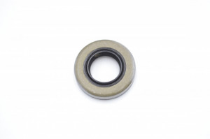 Simering TCS 16*30*6.3, CM BPISRD, A18, 16X30X6.3, 3305954,