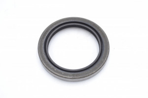 Simering IPC 38*51*5.6, CM BPI, M81, 38X51X5,6, 0692869, F01253