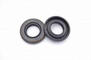 Simering N 16*30*6.2, CM BPISRS, A18, 16X30X6,2, 0199988,