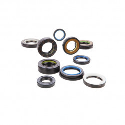 Simering N 18.75*30*5/5.5 BP BIu, A51, 18,75X30X5/5,5, 0117961,