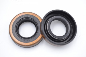 Simering TST 18*34*7.9/8 CM BPI, A39, 18X34X7,9/8 3439344, F00464